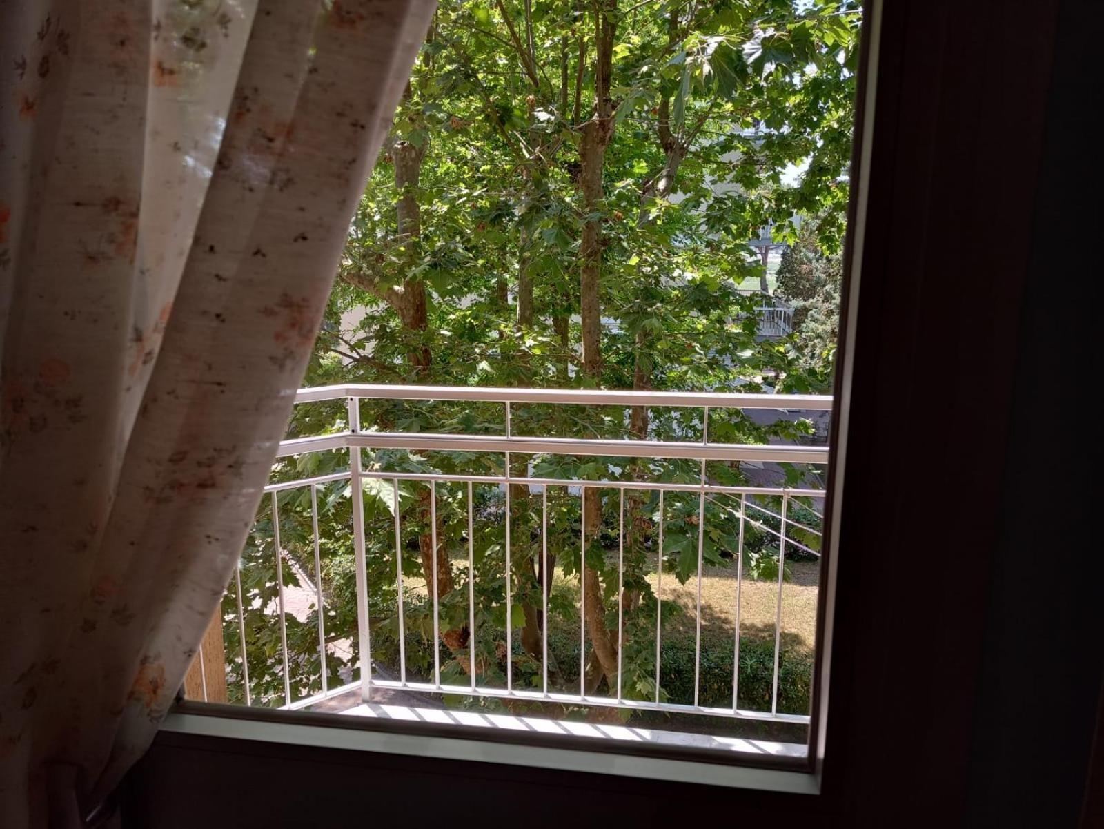 Hotel Toschi 리도 디 클라세 외부 사진